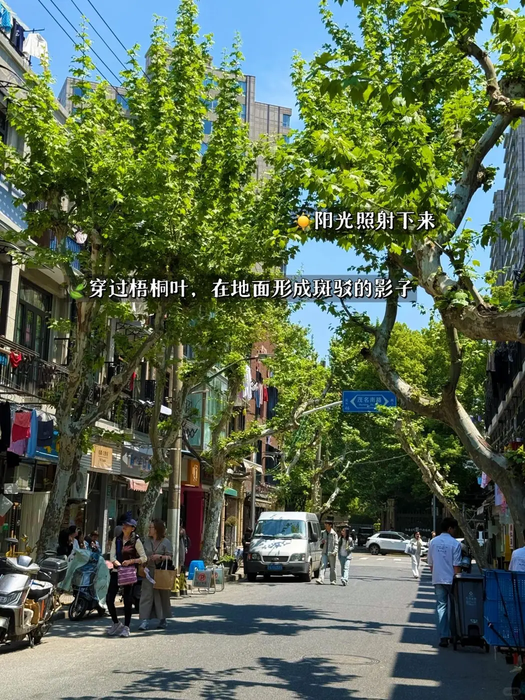 Jinxian Road, a leafy food street in Shanghai's former French Concession